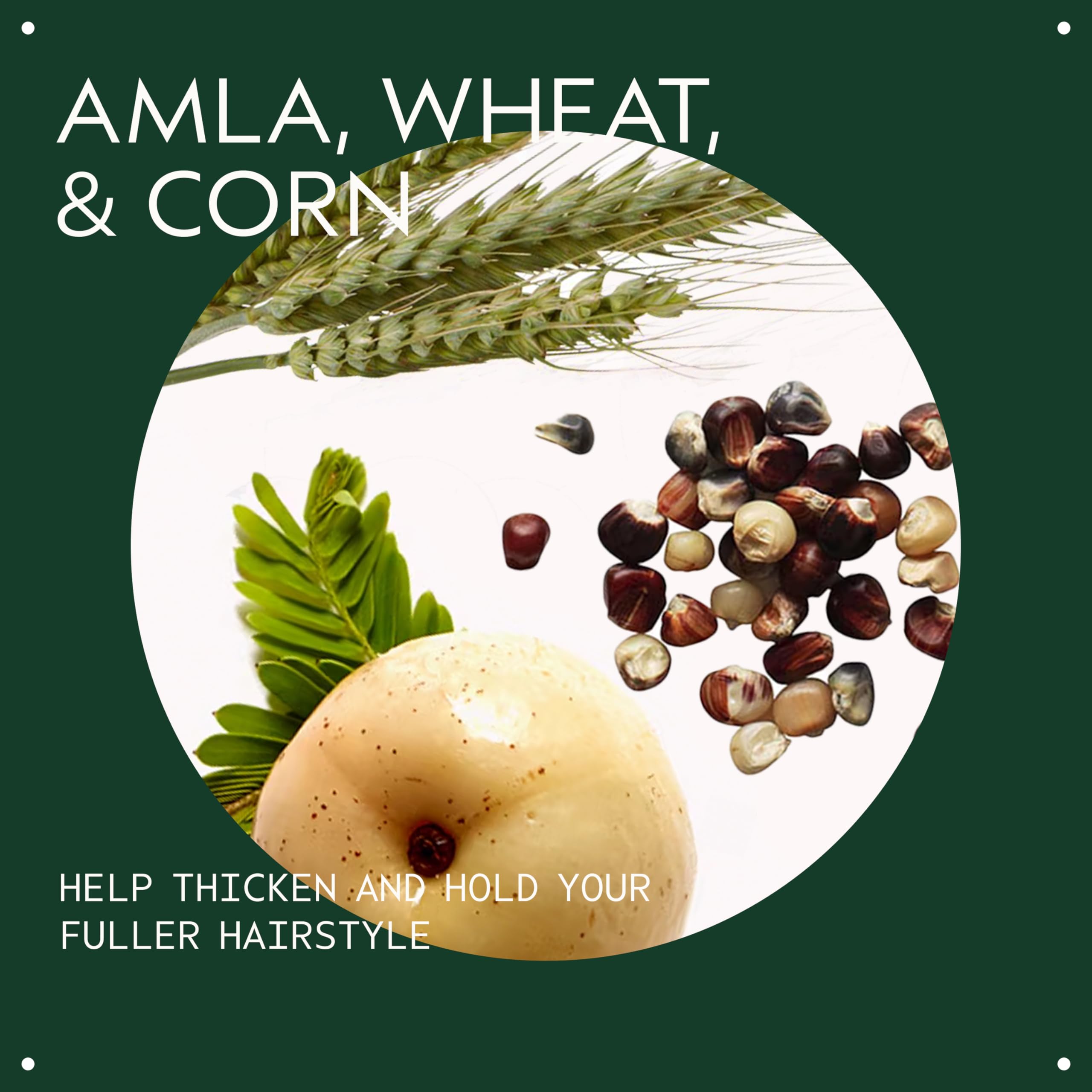 Aveda Thickening Tonic 100ml