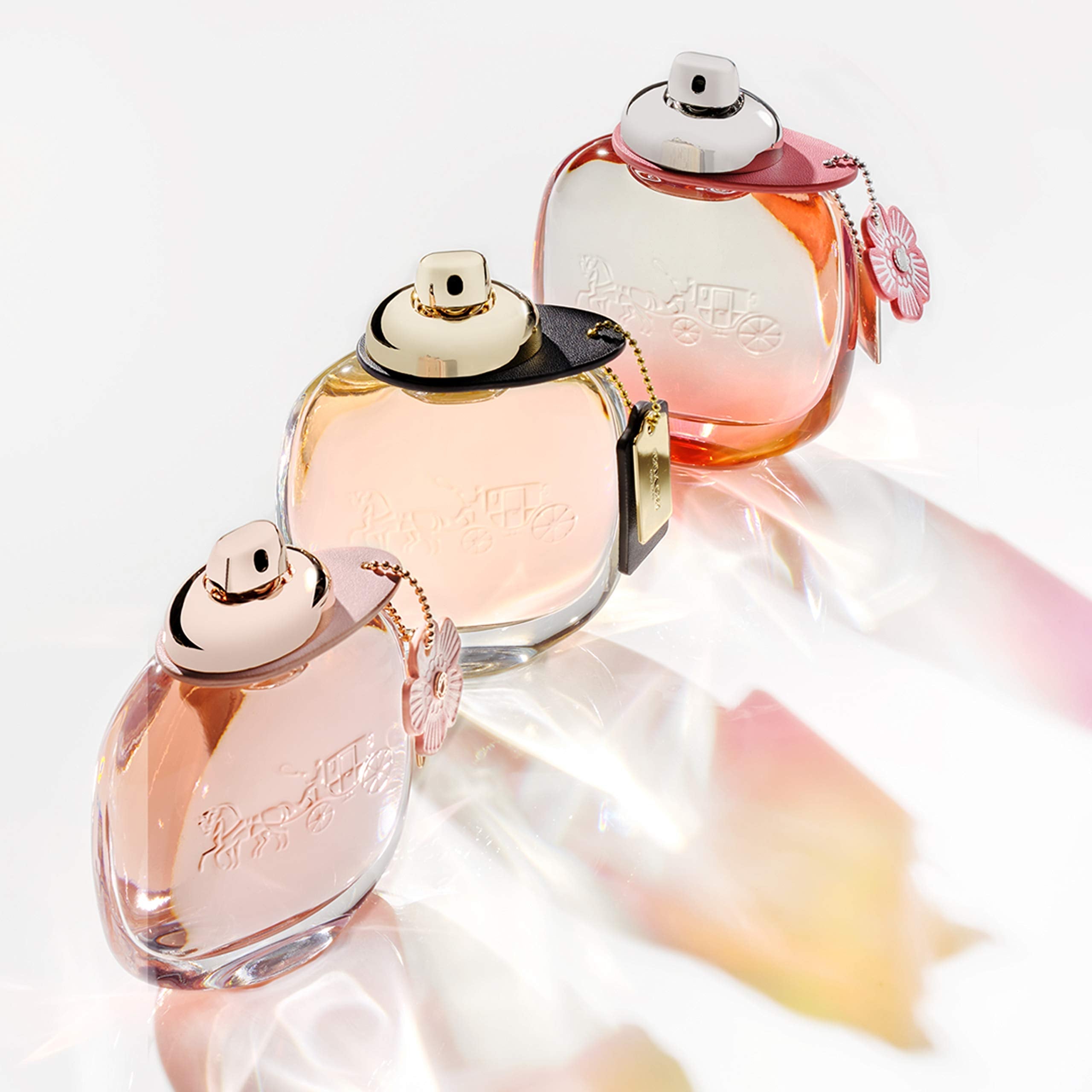 Coach New York Eau de Parfum 30ml Spray - Perfume & Cologne at MyBeautyBoutique by Coach