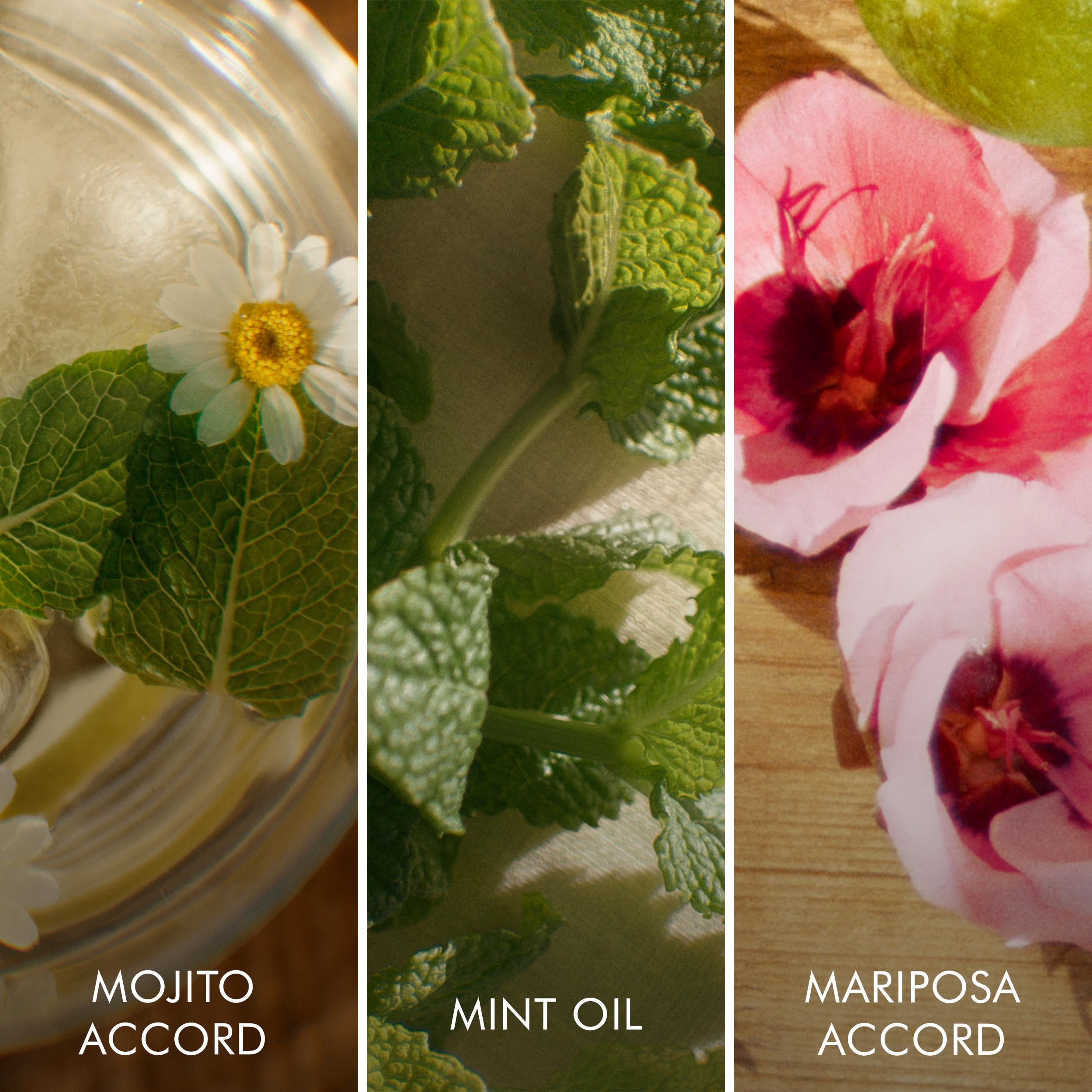 Escada Brisa Cubana Eau de Toilette 100ml Spray - For Her at MyBeautyBoutique by Escada