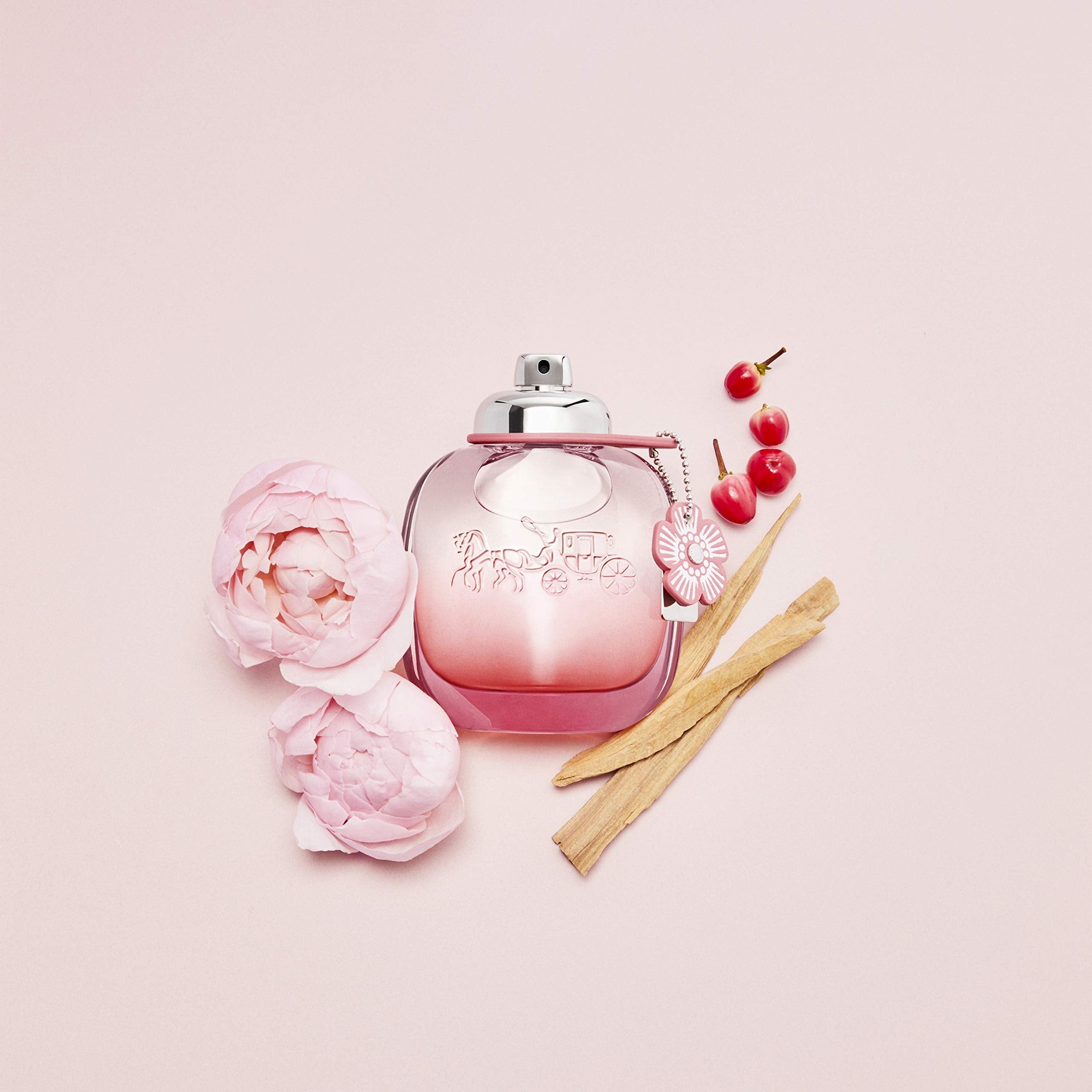 Coach Floral Blush Eau de Parfum 30ml Spray - Fragrance at MyBeautyBoutique by Coach