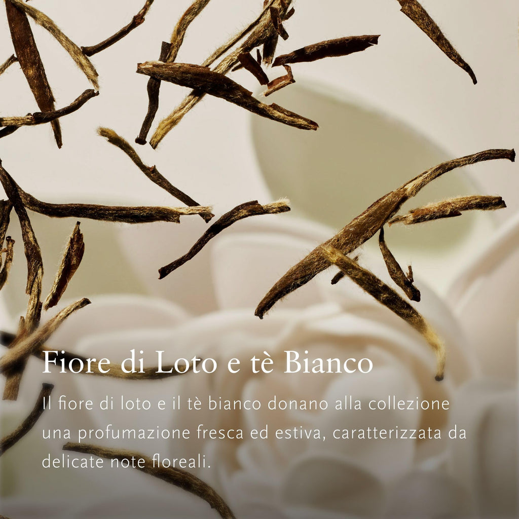 Rituals The Ritual of Karma Sun Trial Set 30ml Body Shimmer Oil + 30ml Face Cream SPF30 + 50ml Milky Spray SPF30