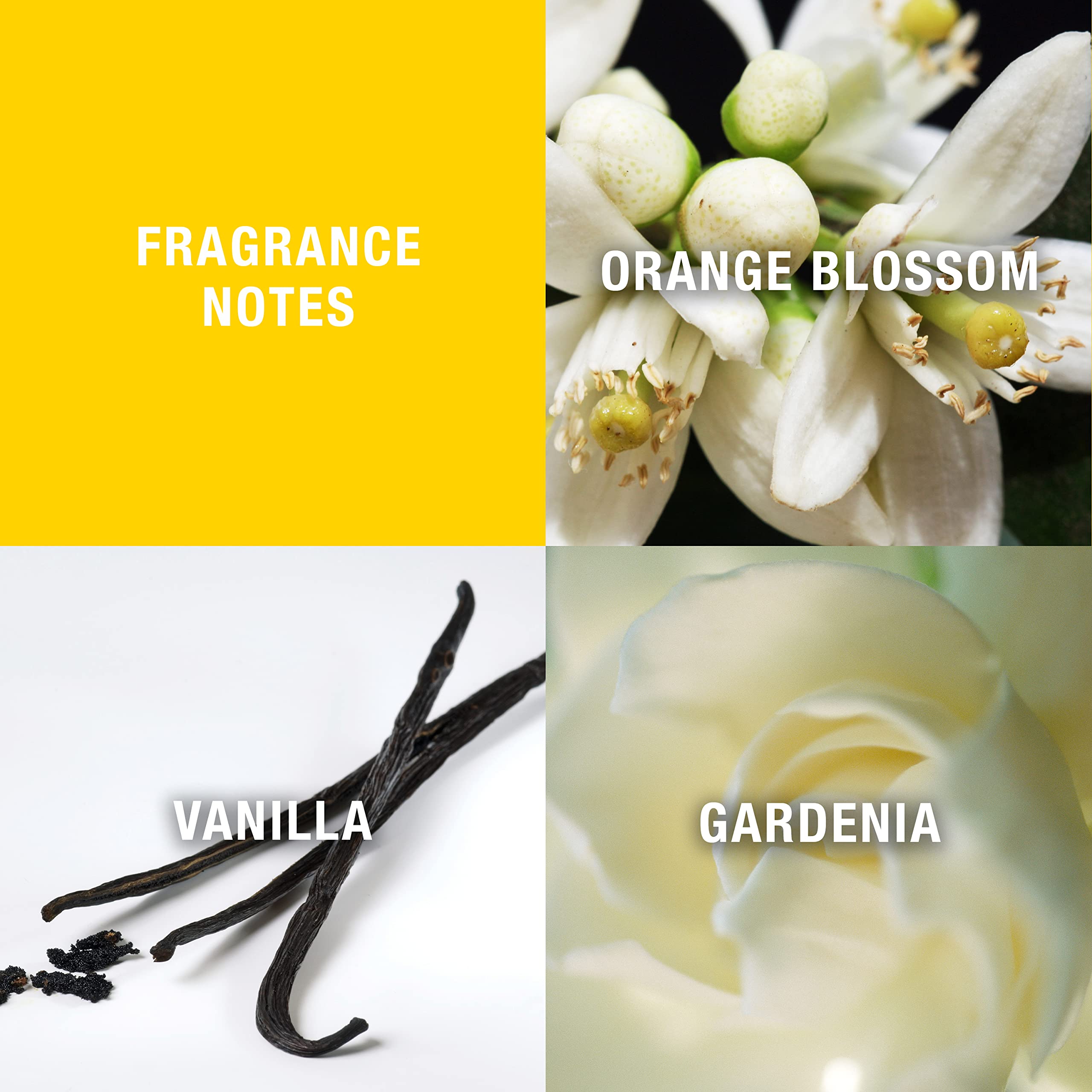 Giorgio Beverly Hills Yellow 90ml EDT + 50ml Body Lotion - Personal Fragrance at MyBeautyBoutique by GIORGIO BEVERLY HILLS