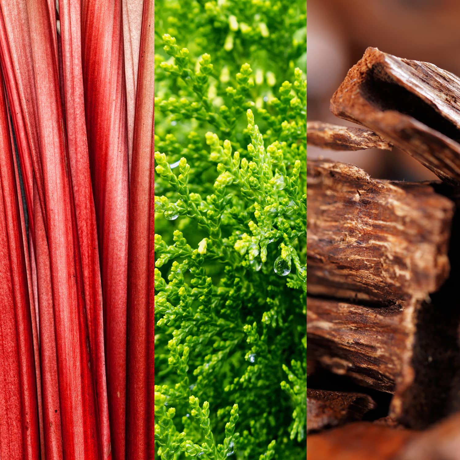 Joop! Go Eau de Toilette 30ml Spray - Fragrance at MyBeautyBoutique by Joop!