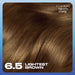 Nice & Easy Care Colour Lightest Brown 6.5