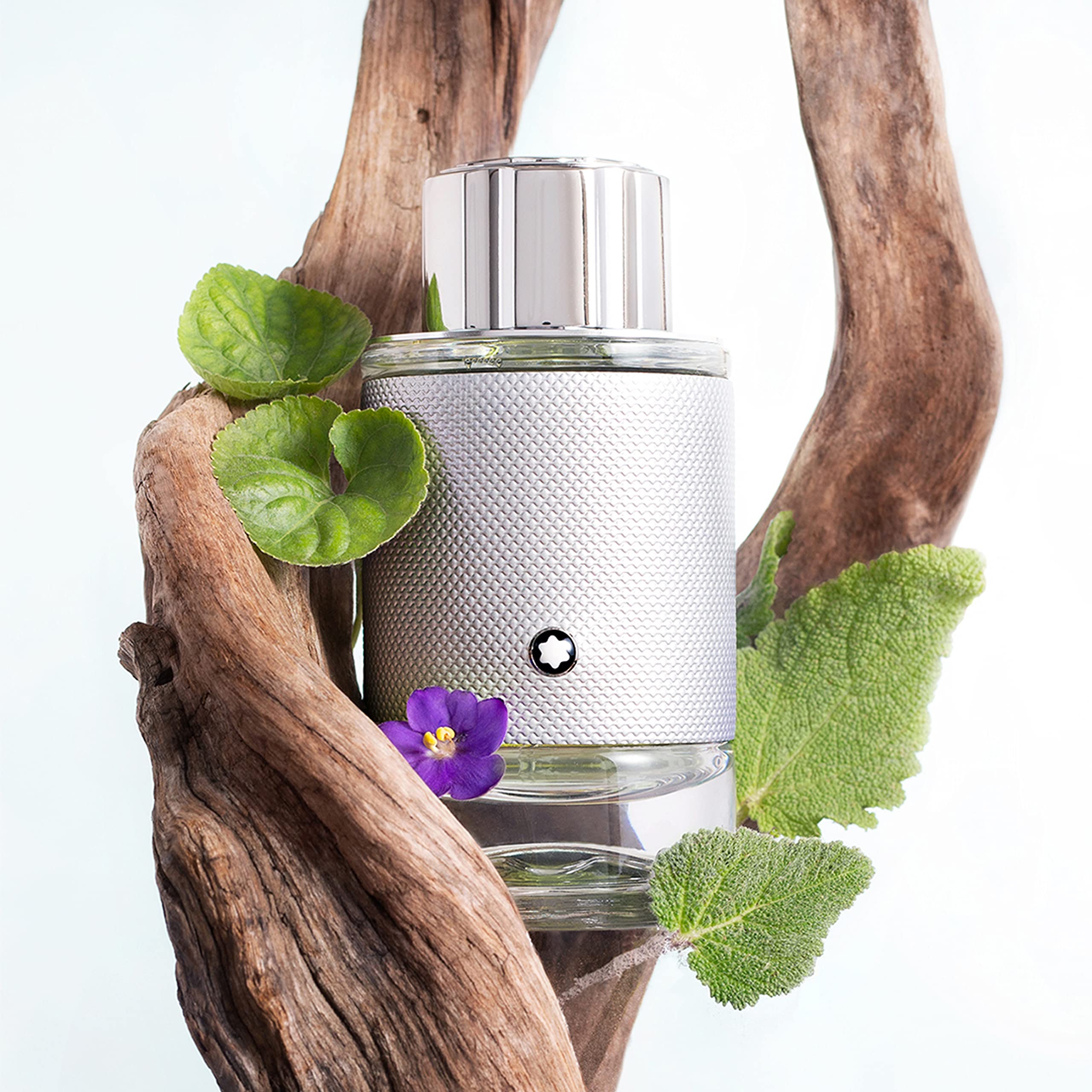 Mont Blanc Explorer Platinum Eau de Parfum 60ml Spray - Eau de Parfum at MyBeautyBoutique by Mont Blanc