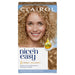 Nice & Easy Care Colour Medium Honey Blonde 8G