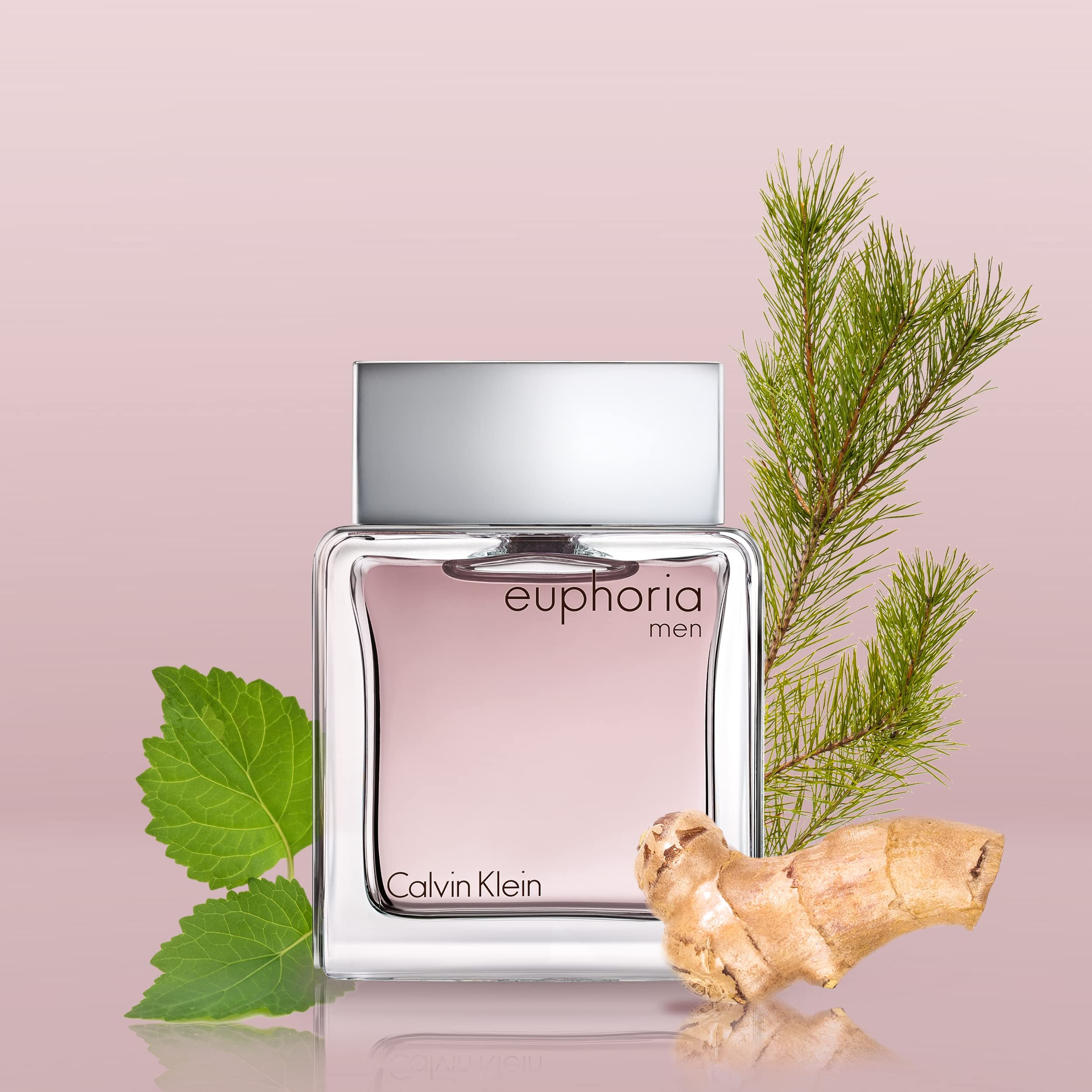 Calvin Klein Euphoria Eau de Toilette 100ml Spray - Fragrance at MyBeautyBoutique by Calvin Klein