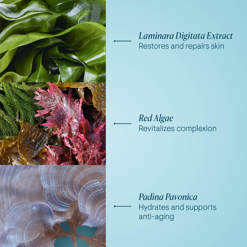 Elemis Pro-Collagen Night  Cream 50ml