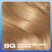 Nice & Easy Care Colour Medium Honey Blonde 8G