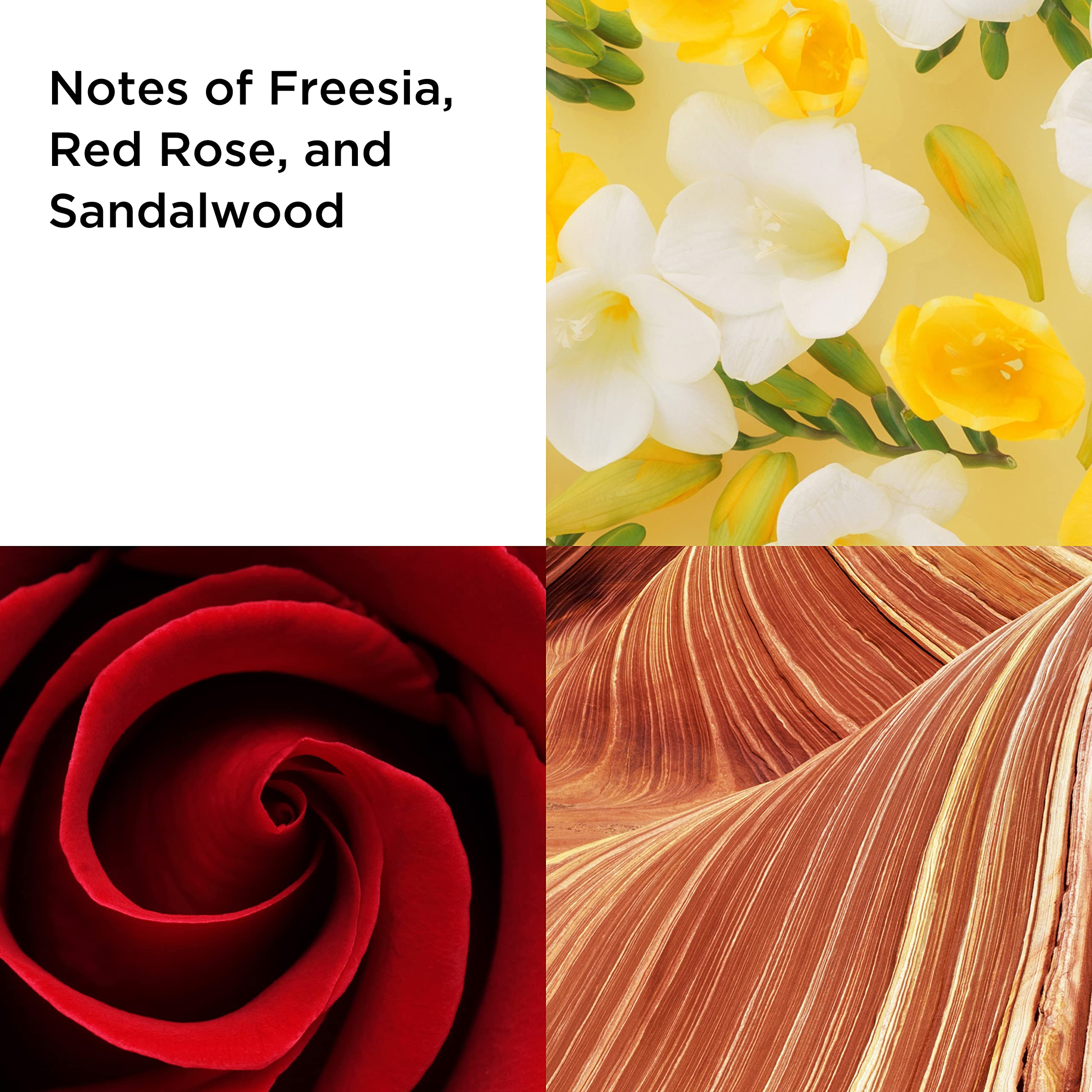 Elizabeth Arden Red Door 100ml EDT + 100ml Body Lotion + 100ml Shower Gel - Personal Fragrance at MyBeautyBoutique by Elizabeth Arden