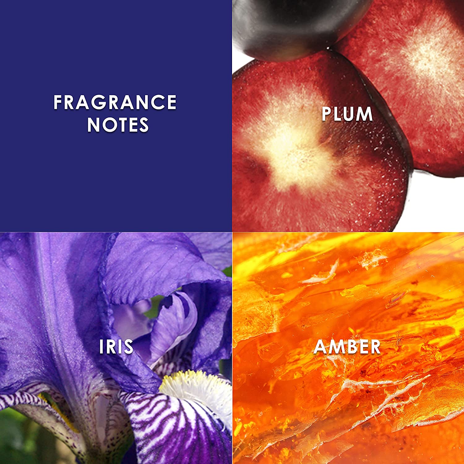 Britney Spears Midnight Fantasy Fragrance Mist 236ml - Perfume & Cologne at MyBeautyBoutique by Britney Spears