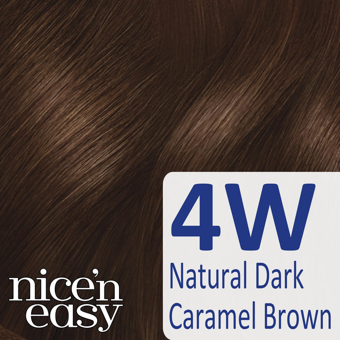 Nice & Easy Care Colour Dark Mocha Brown 4W