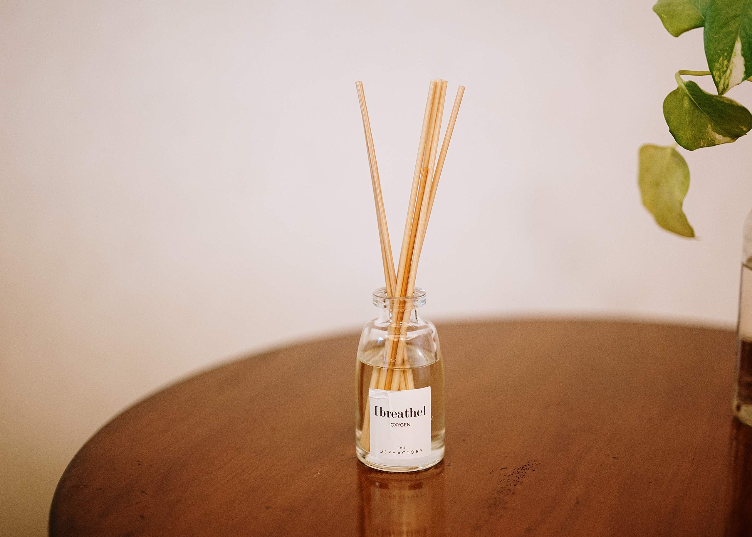 The Olphactory Breathe Oxygen Reed Diffuser 100ml
