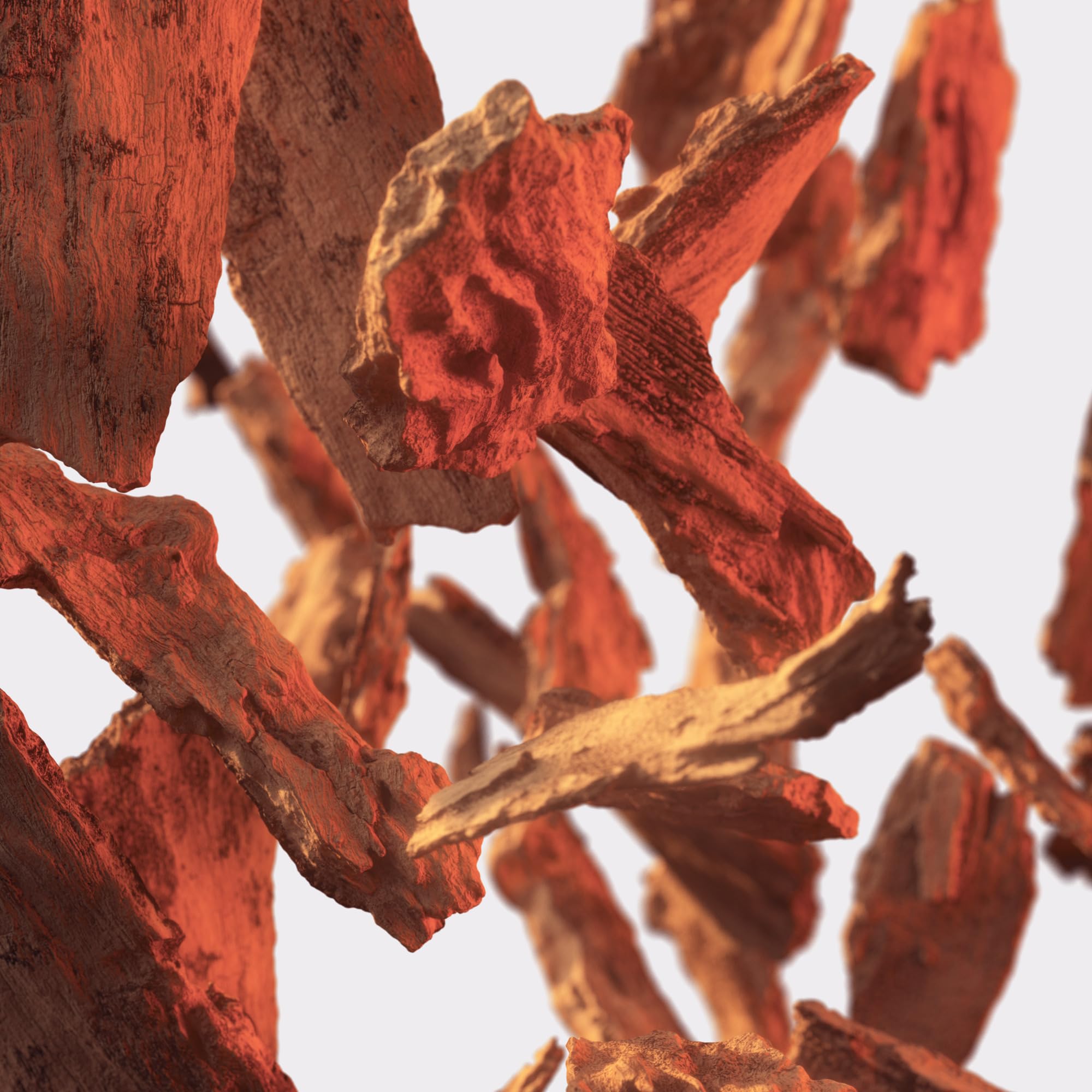 Tommy Hilfiger Tommy Now Girl Eau De Toilette 30ml - Eau de Toilette at MyBeautyBoutique by Tommy Hilfiger