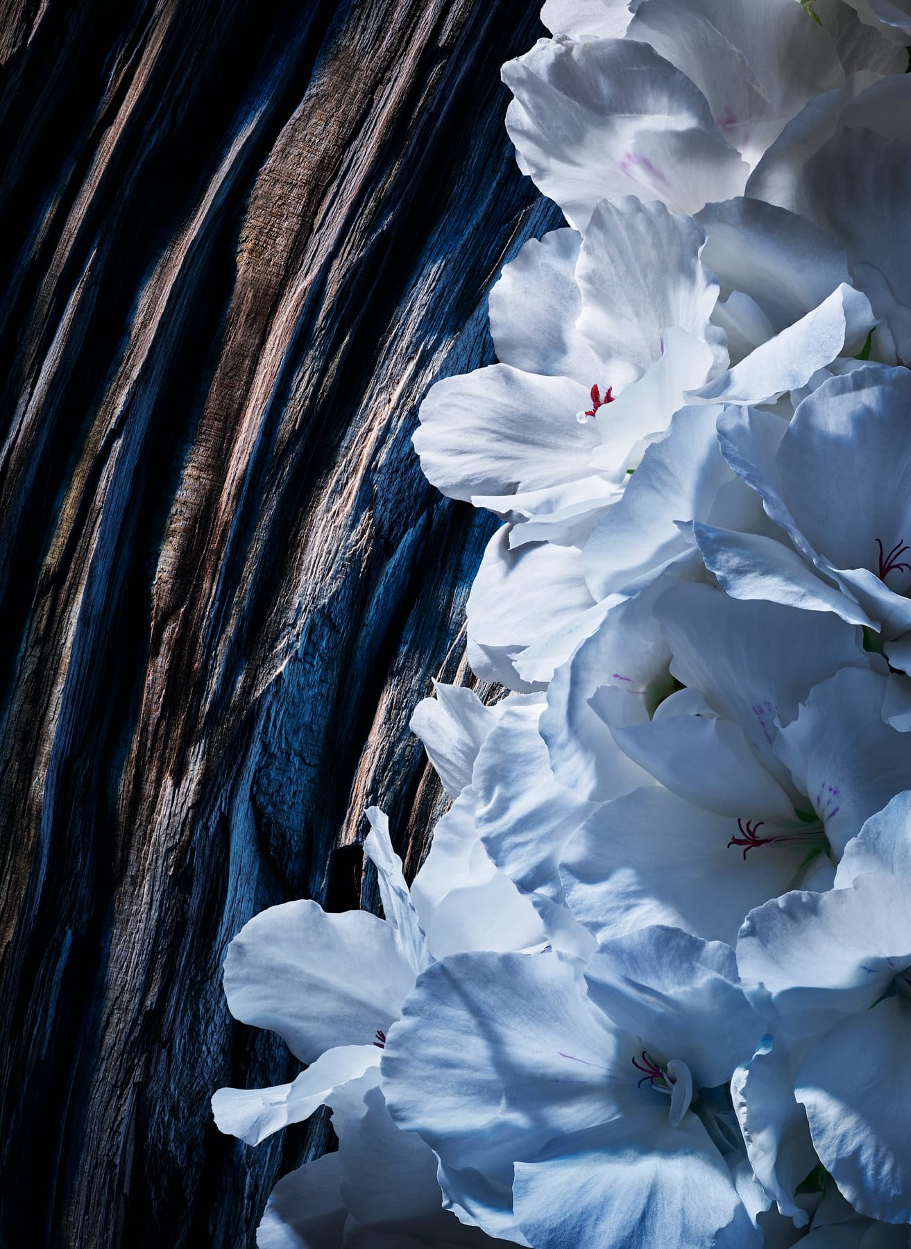 Yves Saint Laurent Y Elixir Eau de Parfum 60ml Spray