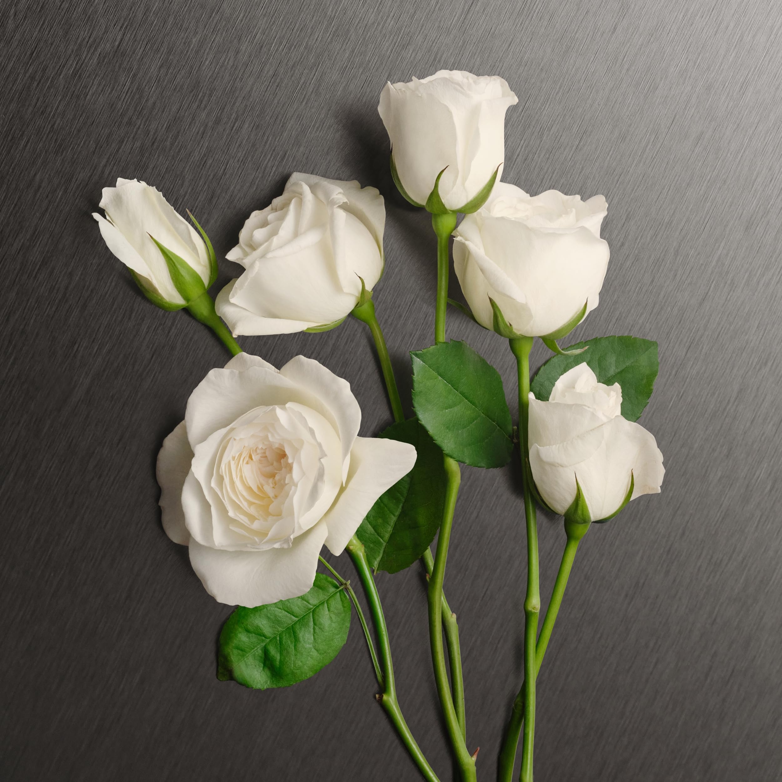 Calvin Klein Eternity Body Lotion 200ml