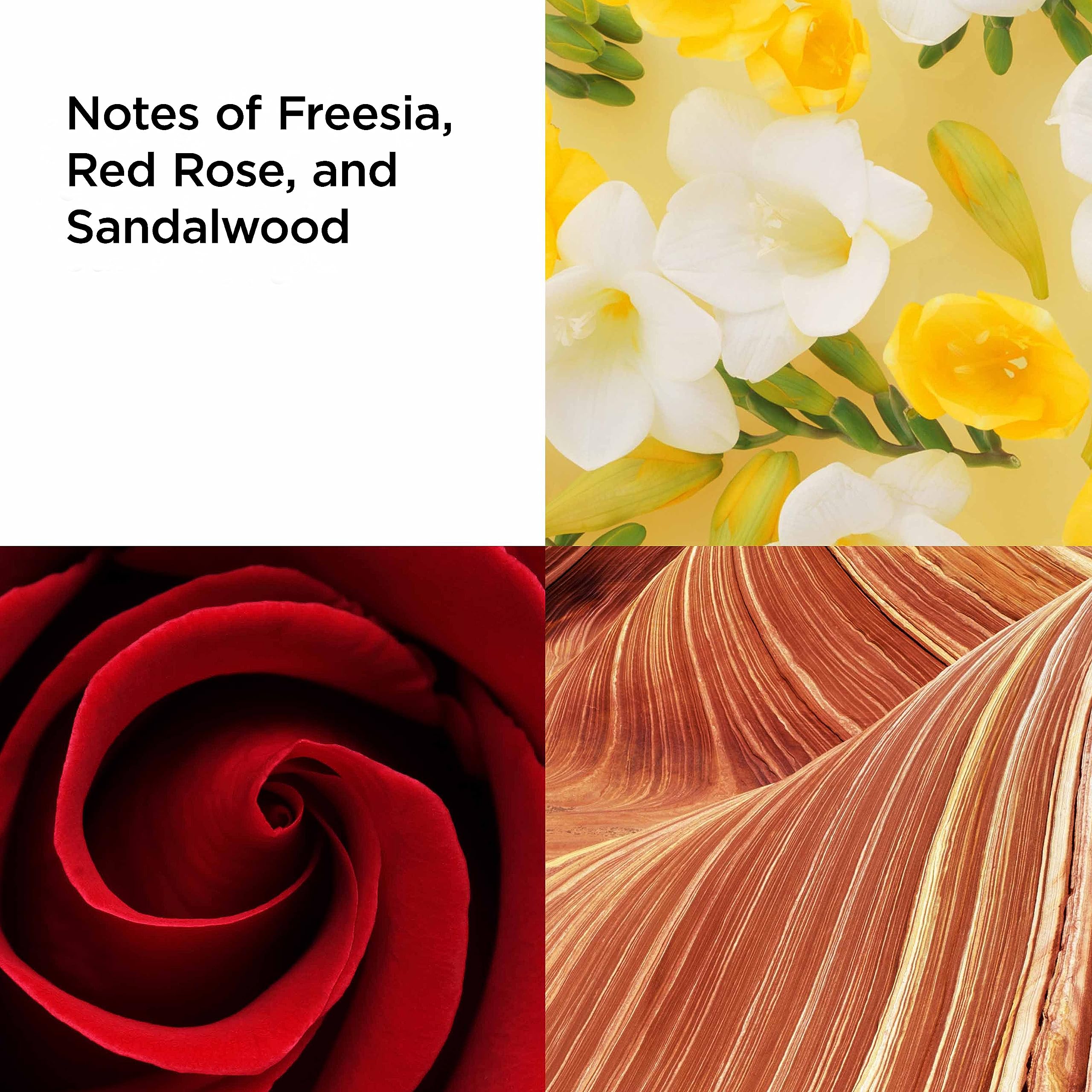 Elizabeth Arden Red Door 3 Piece Gift Set: Eau de Toilette 30ml - Body Lotion 50ml - Bath And Shower Gel 50ml - Sets at MyBeautyBoutique by Elizabeth Arden