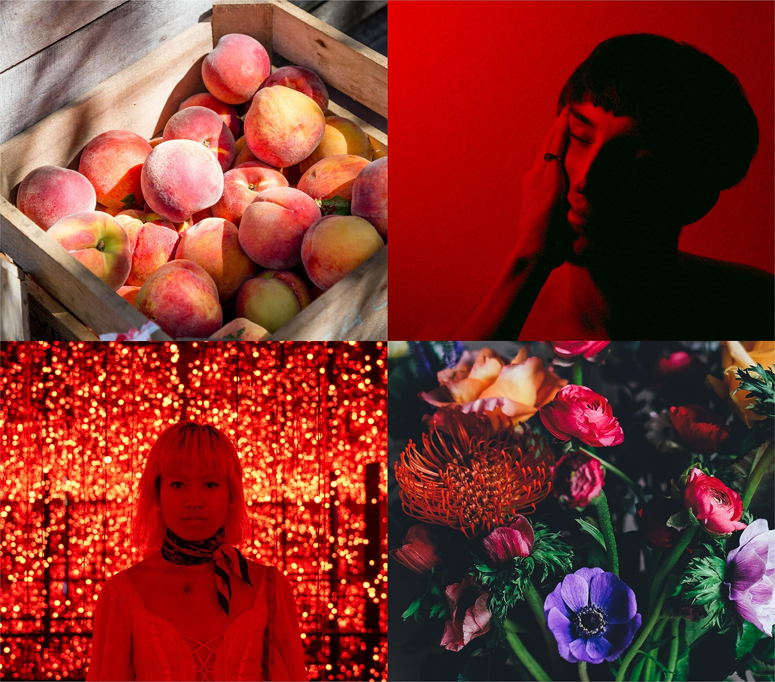 Perfumer's Choice No. 4 by Phoenix Eau de Parfum 83ml Spray - Fragrance at MyBeautyBoutique by Perfumer's Choice