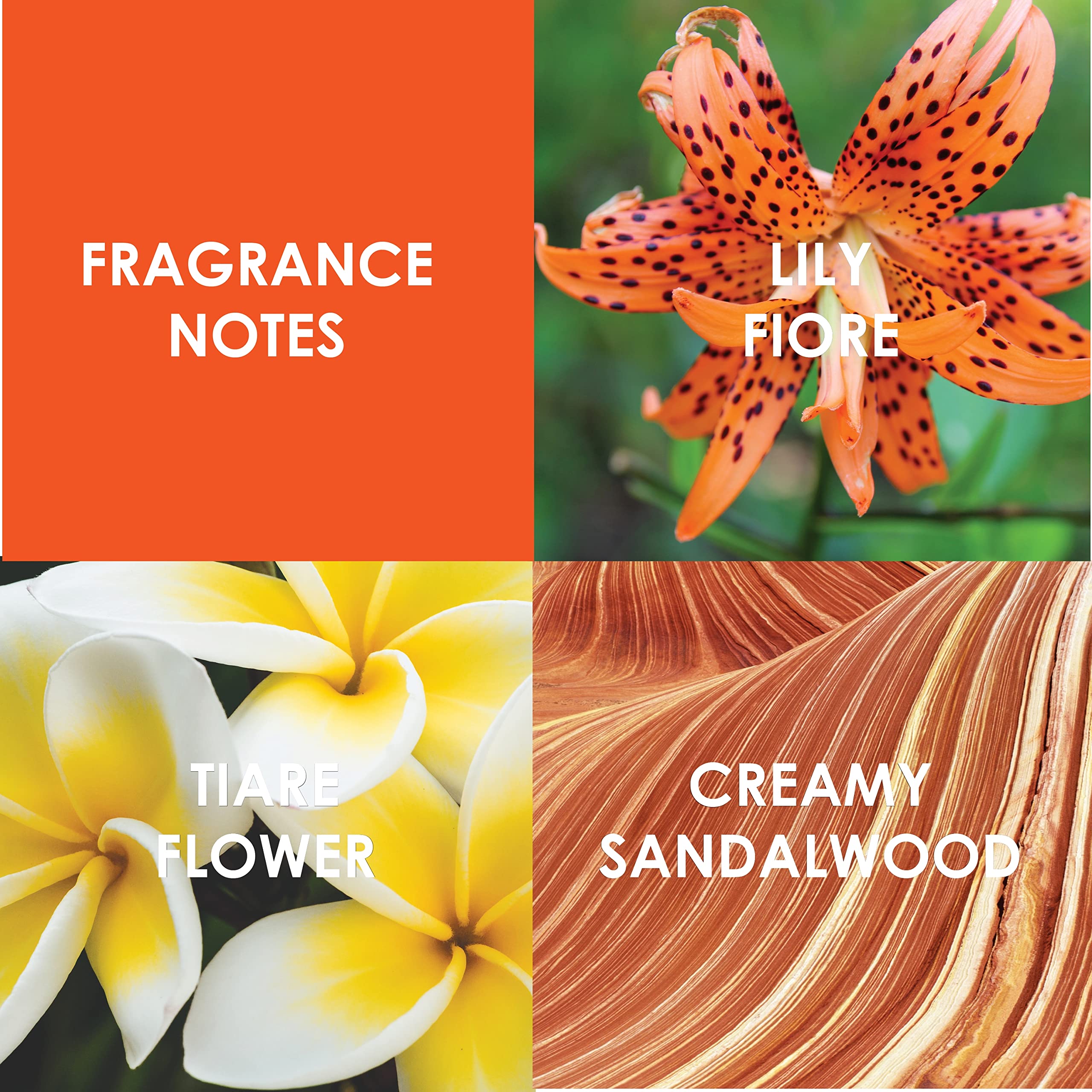 Britney Spears Blissful Fantasy Eau de Toilette 30ml Spray