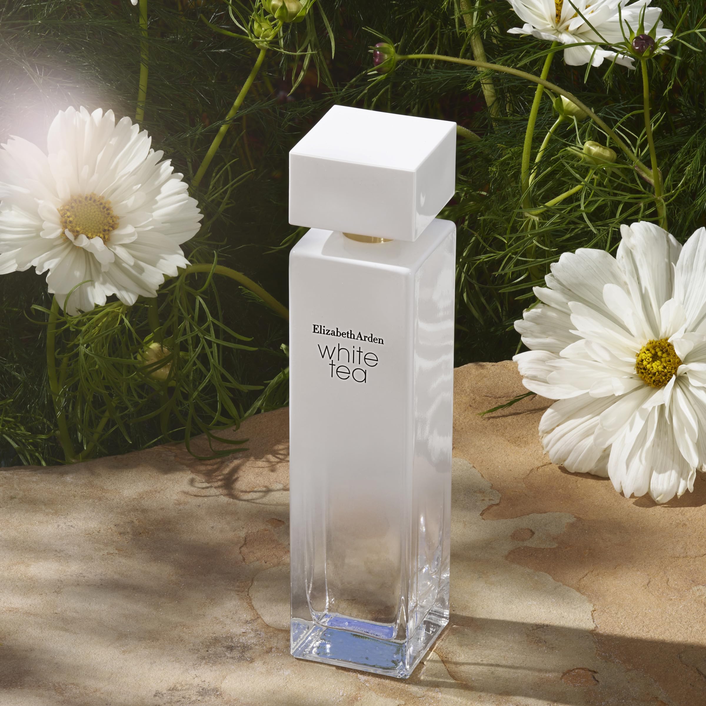 Elizabeth Arden White Tea Eau de Toilette 30ml Spray