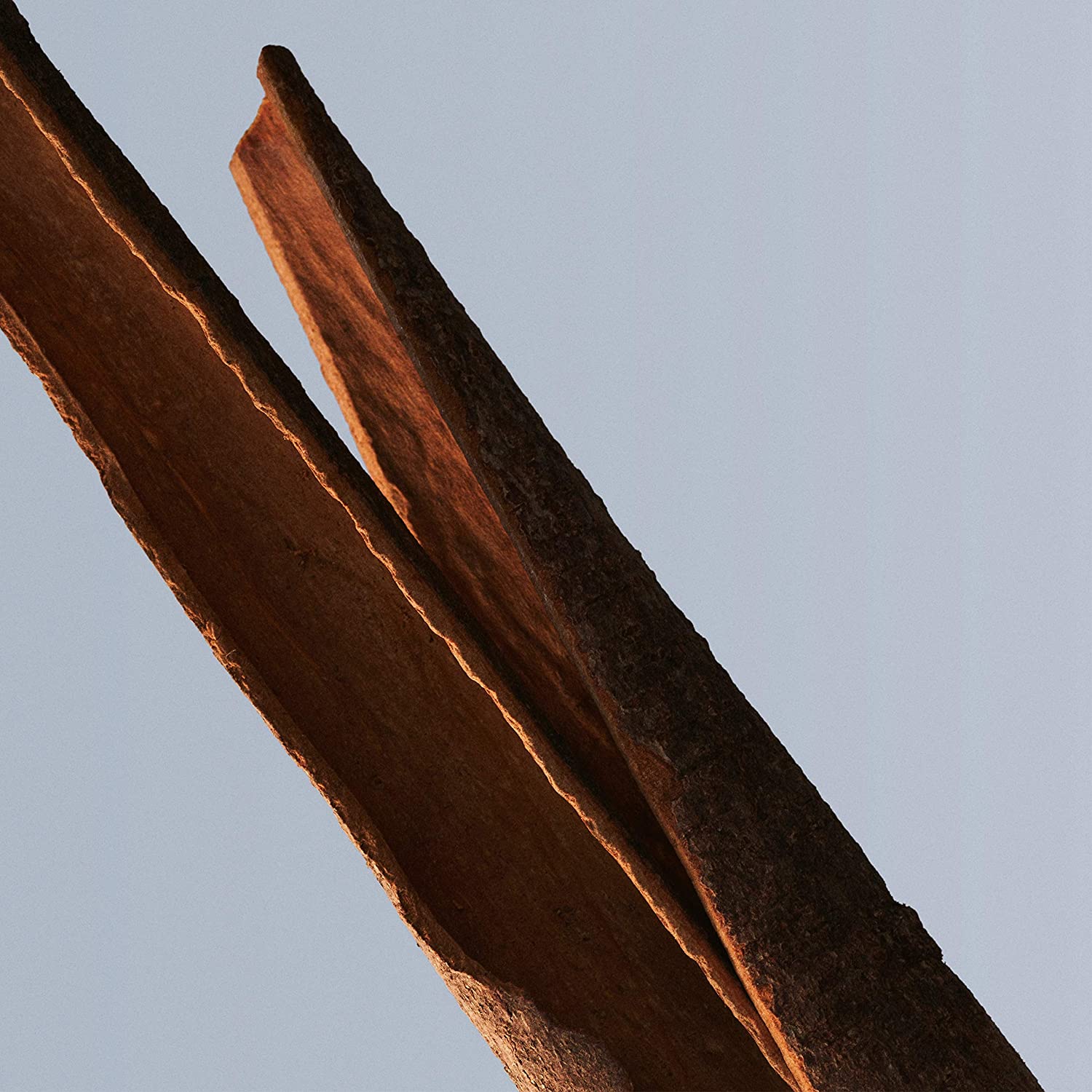 Hugo Boss Bottled Deodorant Spray 150ml - Deodorant at MyBeautyBoutique by Hugo Boss