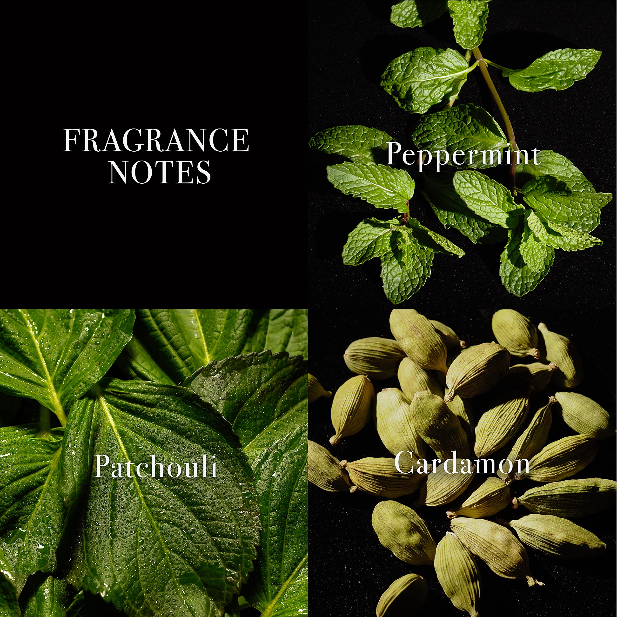 XX John Varvatos Indigo Eau De Toilette 75ml - Eau De Toilette at MyBeautyBoutique by XX