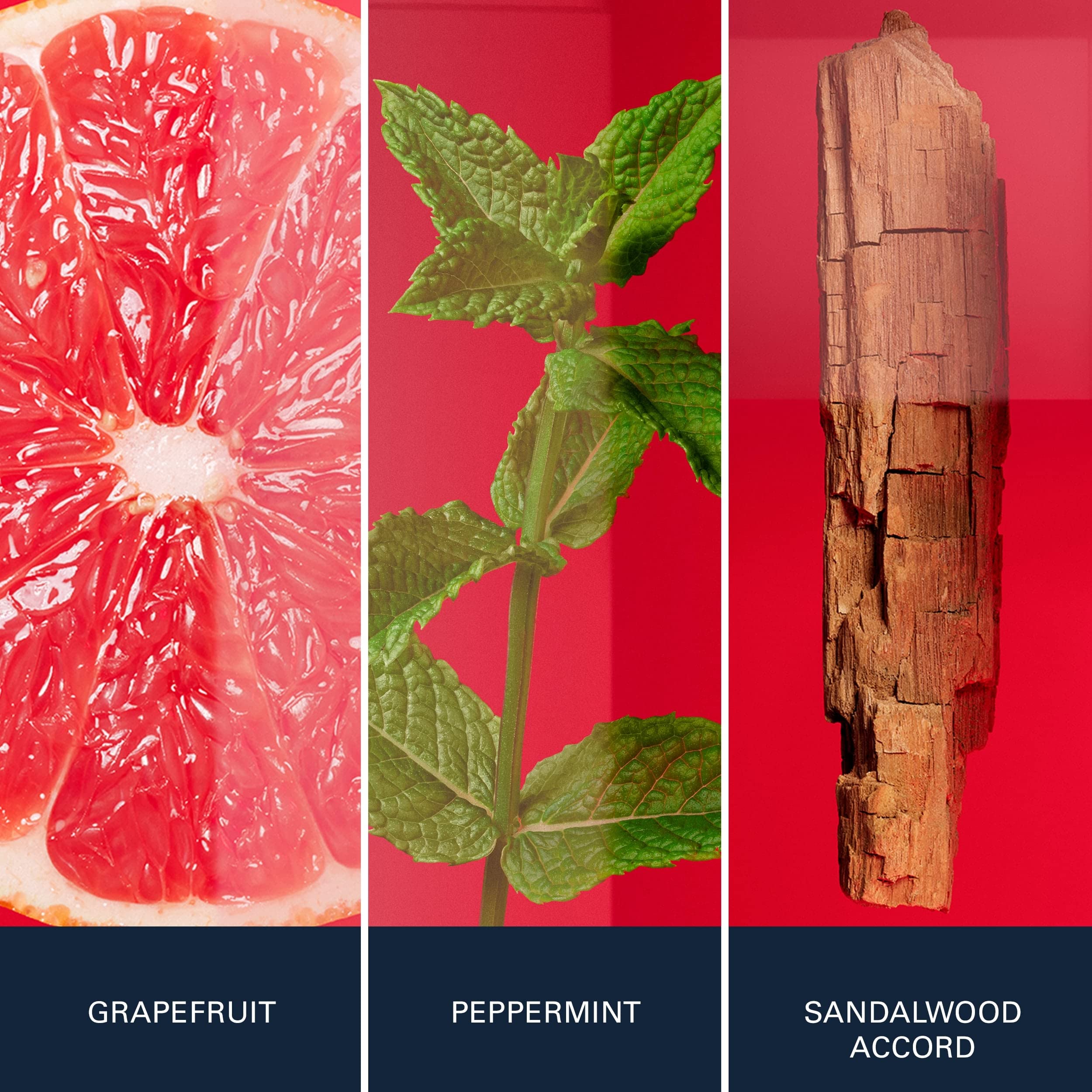 Hugo Boss Jeans Eau De Toilette 125ml - Eau De Toilette at MyBeautyBoutique by Hugo Boss