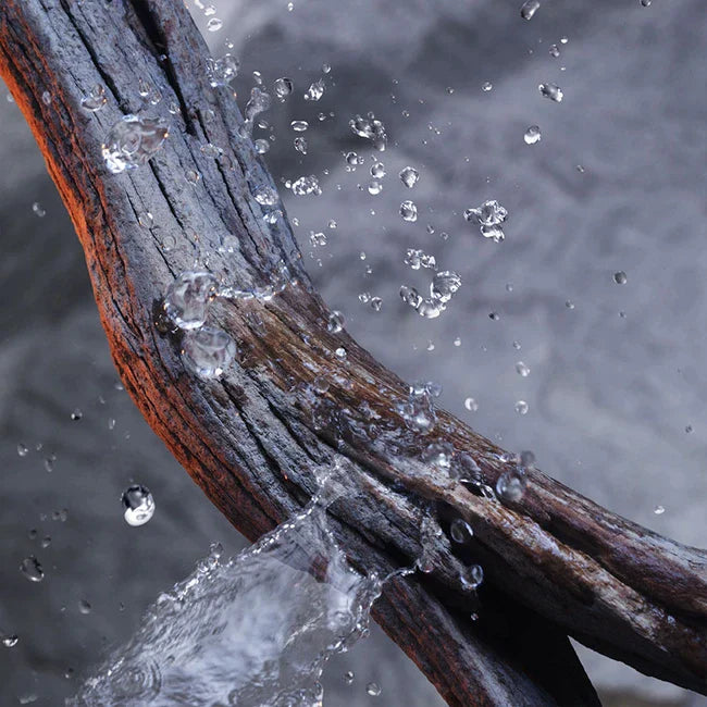 Paco Rabanne Invictus Deodorant Stick 75ml - Fragrance at MyBeautyBoutique by Paco Rabanne