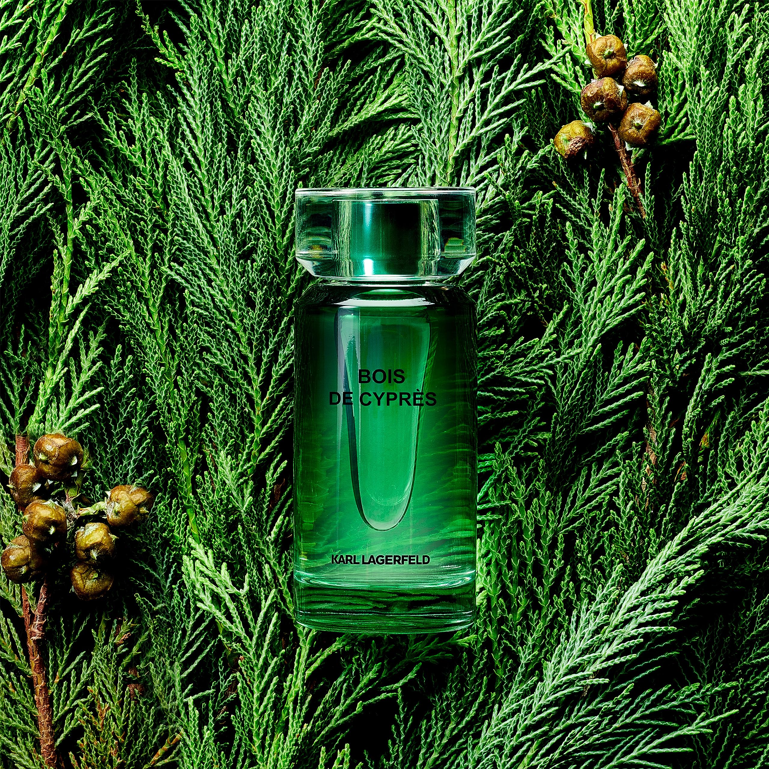 Karl Lagerfeld Bois de Cyprès Eau de Toilette 50ml Spray - For Him at MyBeautyBoutique by Karl Lagerfeld