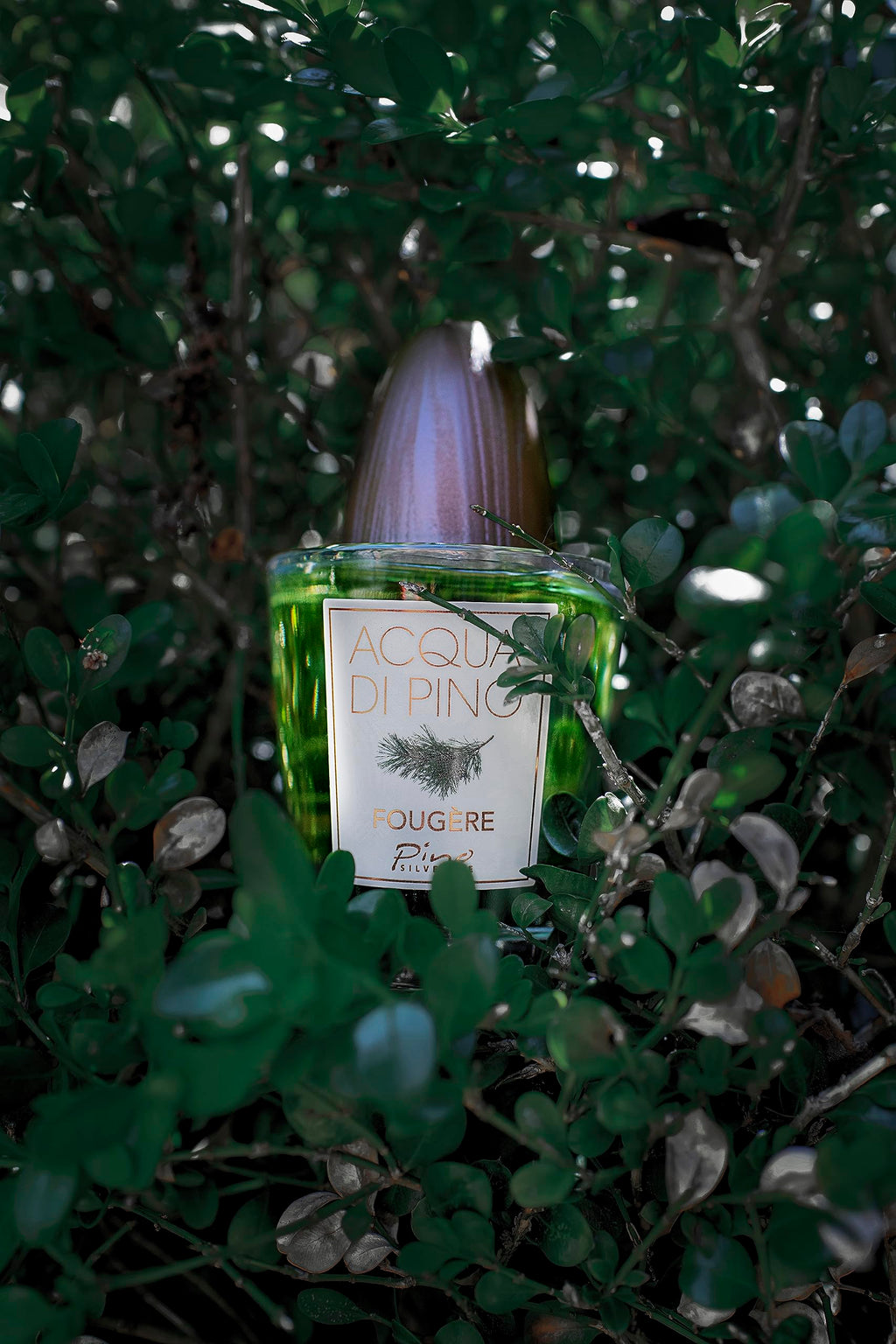 Pino Silvestre Acqua Di Pino Fougere Eau de Toilette 125ml