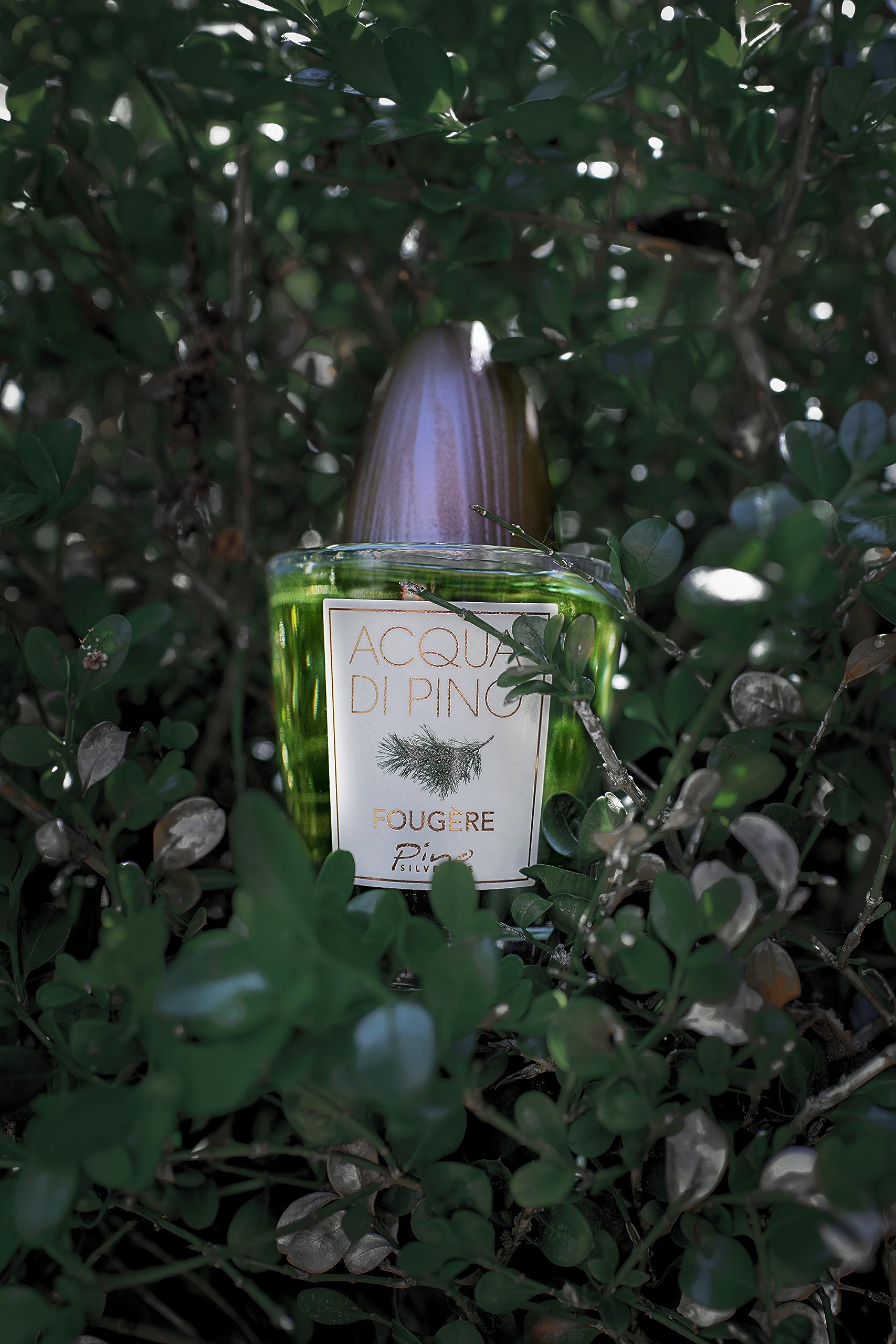 Pino Silvestre Acqua Di Pino Fougere Eau de Toilette 125ml