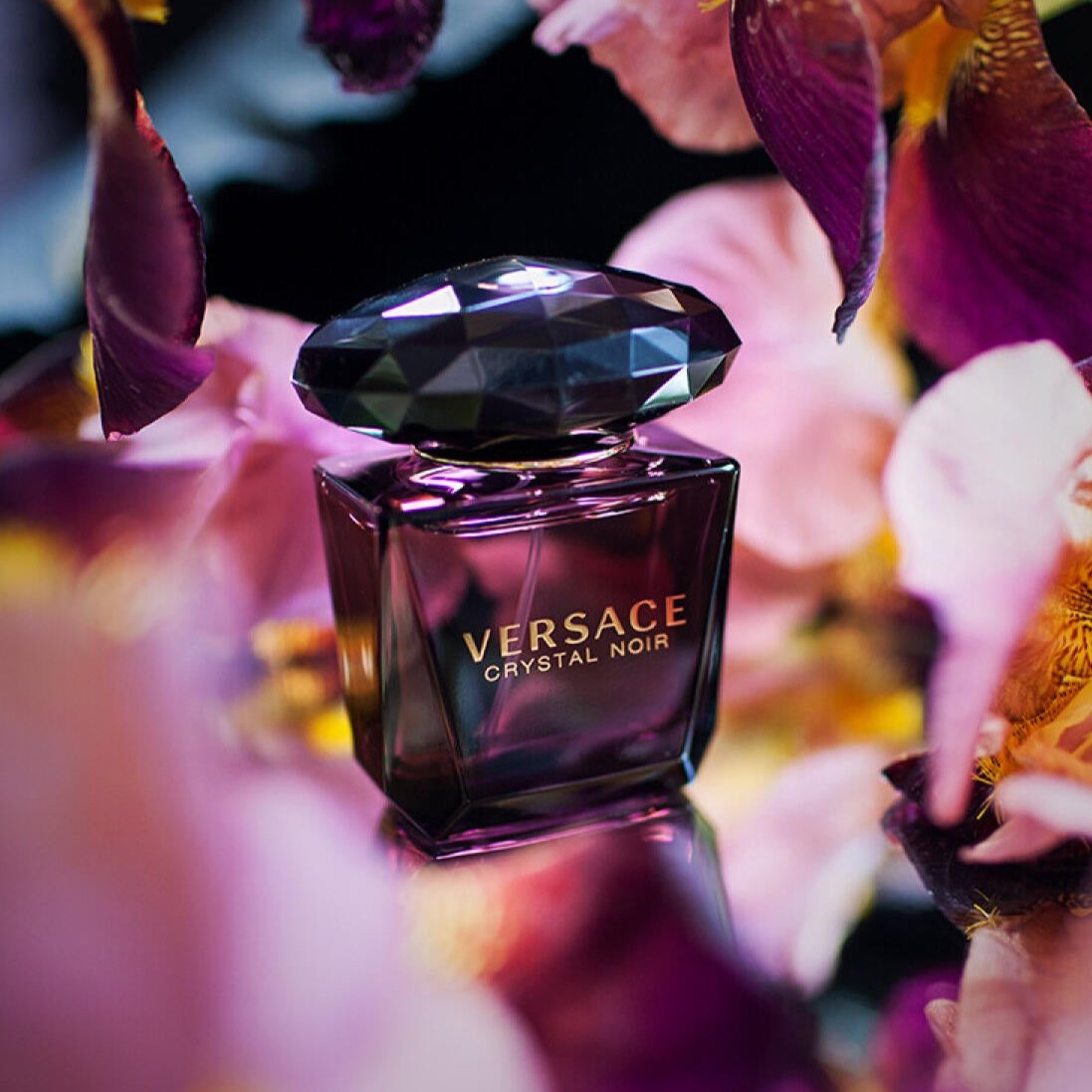 Versace Crystal Noir Eau De Parfum 90ml - Fragrance at MyBeautyBoutique by Versace