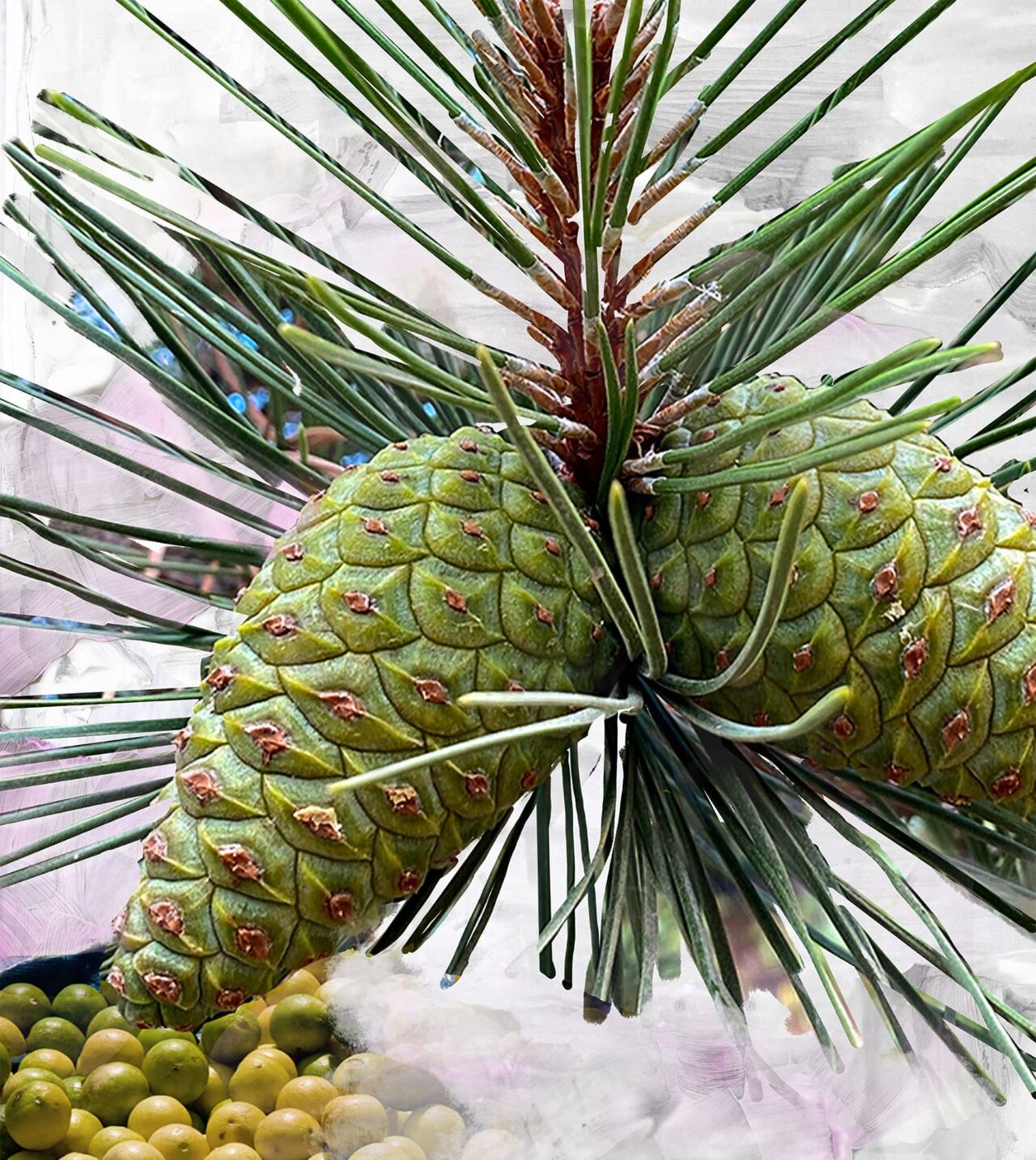 Byredo Gypsy Water Eau De Parfum 100ml - Fragrances at MyBeautyBoutique by Byredo