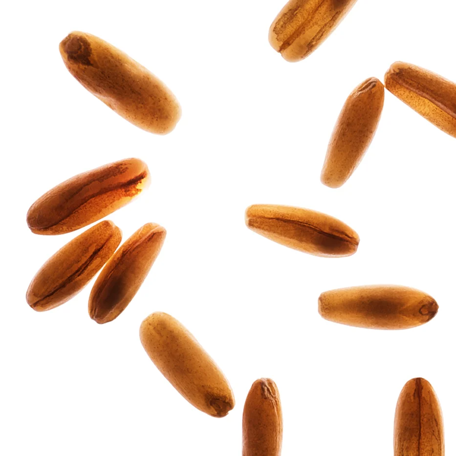 Clarins Moisture Rich Body Lotion 400ml