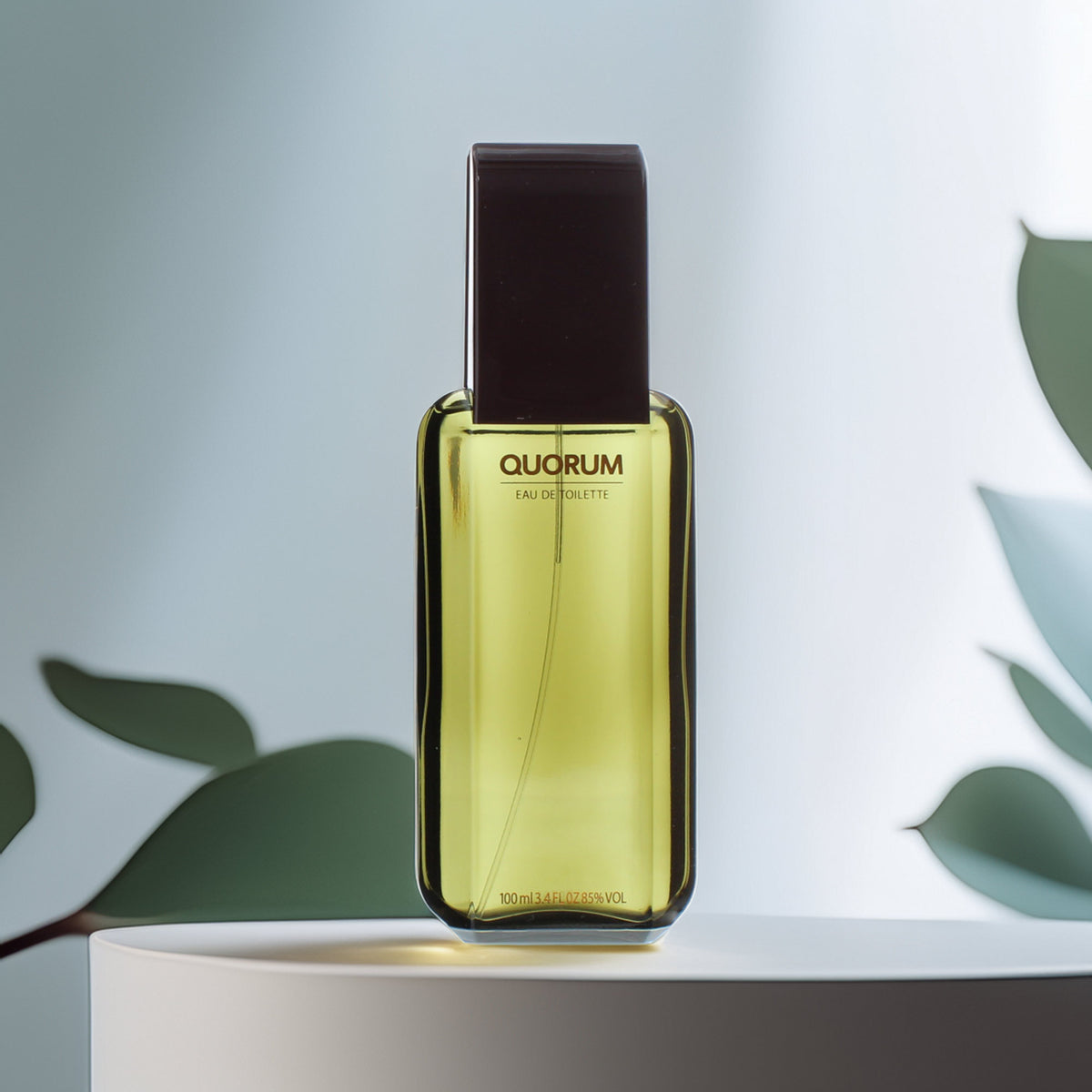 Antonio Puig Quorum Eau de Toilette 100ml Spray