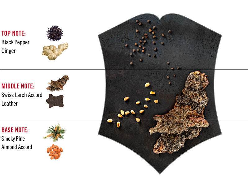 Swiss Army Black Steel Eau de Toilette 100ml Spray - Eau de Toilette at MyBeautyBoutique by Swiss Army